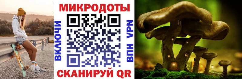 Галлюциногенные грибы прущие грибы  Шиханы 