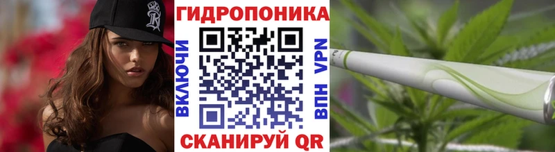 Бошки марихуана план Шиханы